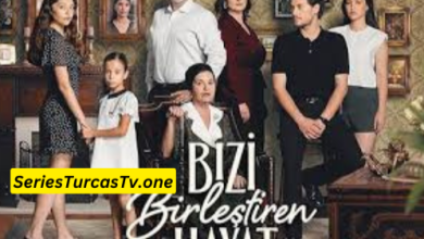 Bizi Birlestiren Hayat