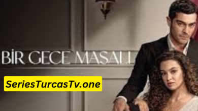 Bir Gece Masali